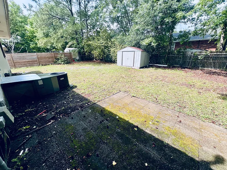 Backyard_05112026