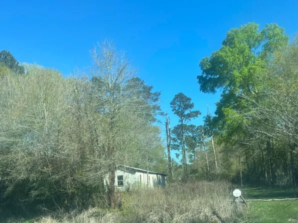 31937 William Kelly Ln, Denham Springs, LA 70726