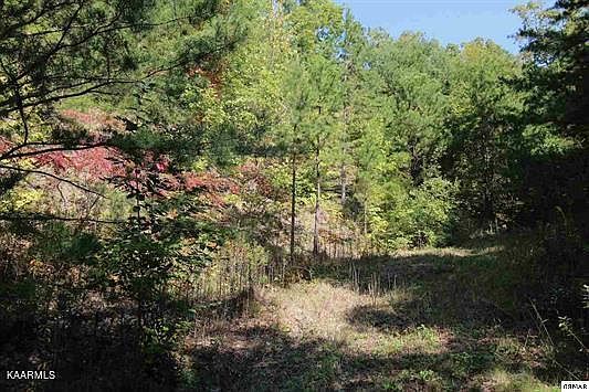 5th image of LOT 53 Mountain Ash Way