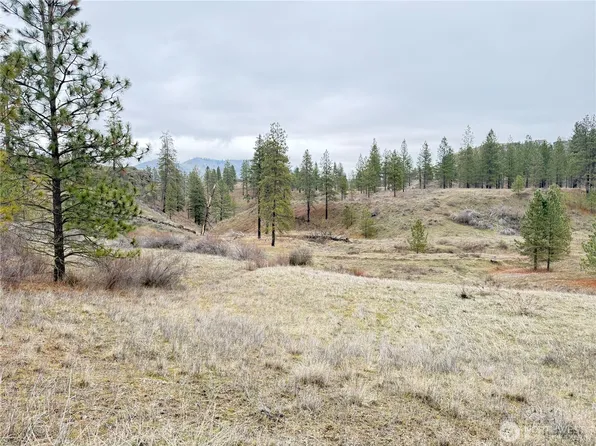 0 Cayuse Cove Road N, Davenport, WA 99122