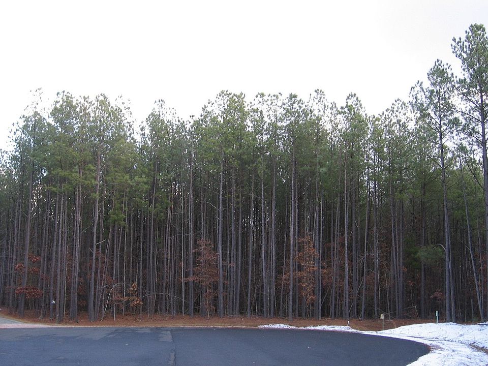 2nd image of 13100 Greenwood Creek Dr