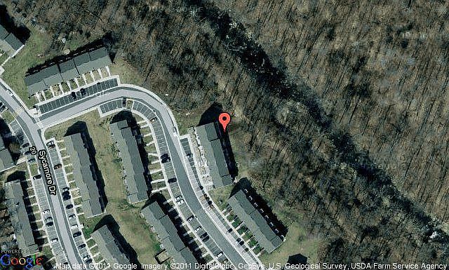 Map View