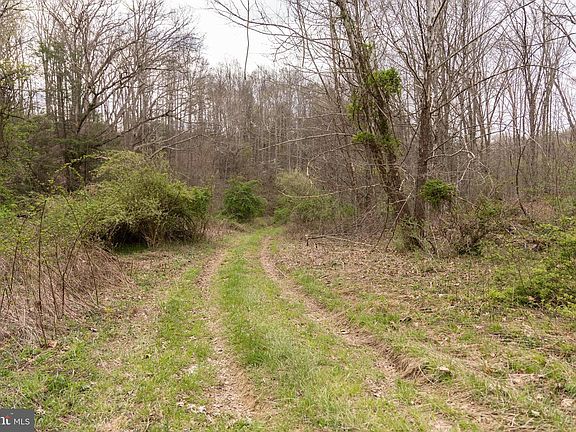 2nd image of 0 Pine Branch Rd