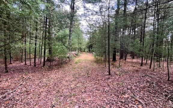3rd image of Lot 12 White Road