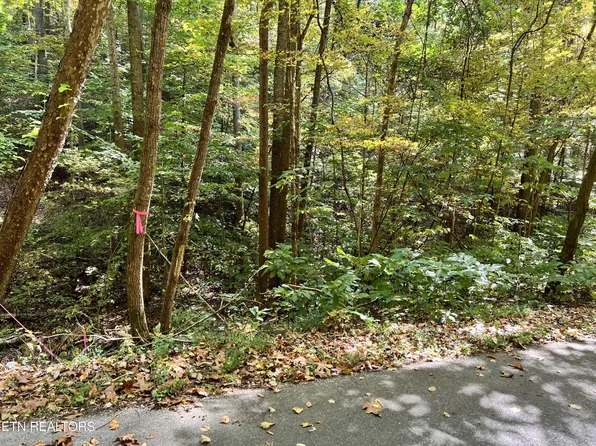 1875 Dyer Hollow Rd #B1, Mohawk, TN 37810