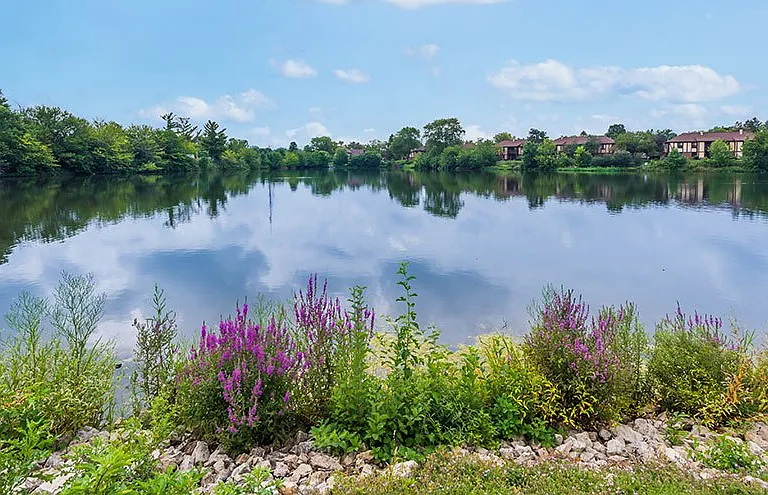 Lakeside at Wheaton Apartments — Photo 51