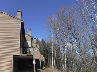 47 Gore Village Ln #10, North Creek, NY 12853