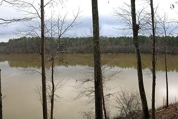 View From Back Yard