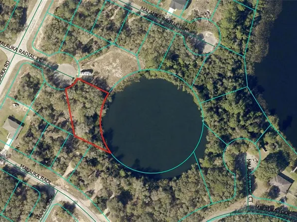 0 Malauka Radial Ct Lot 30, Ocklawaha, FL 32179