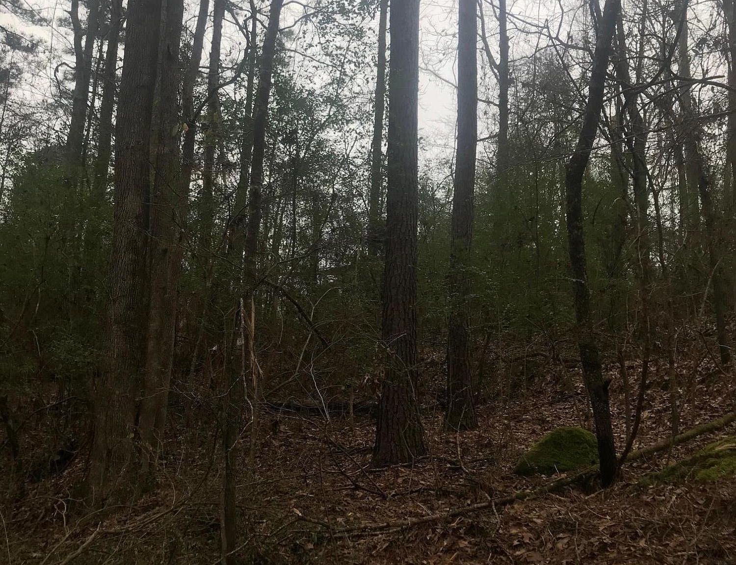 2 Manoy Cv, Jacksons Gap, AL 36861 Zillow