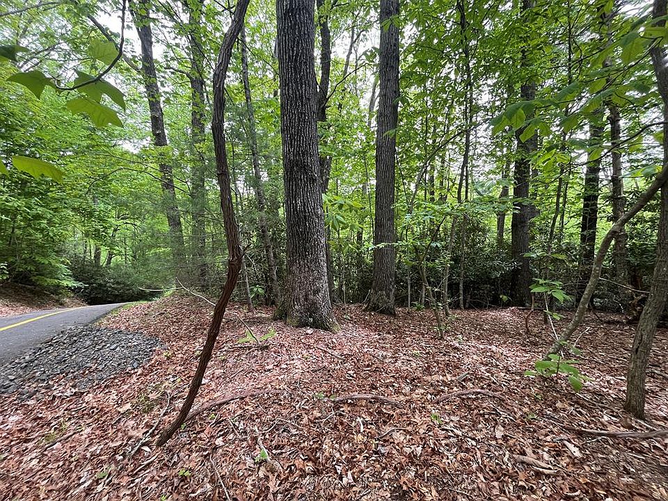 1st image of 0 Old Hollow Trl