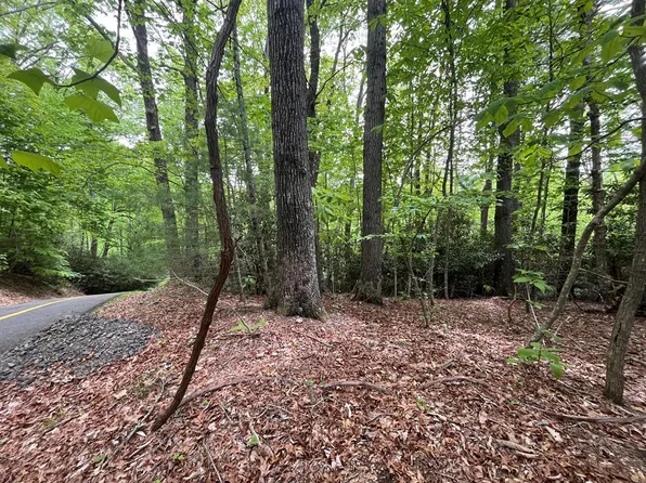 0 Old Hollow Trl, Fancy Gap, VA 24328