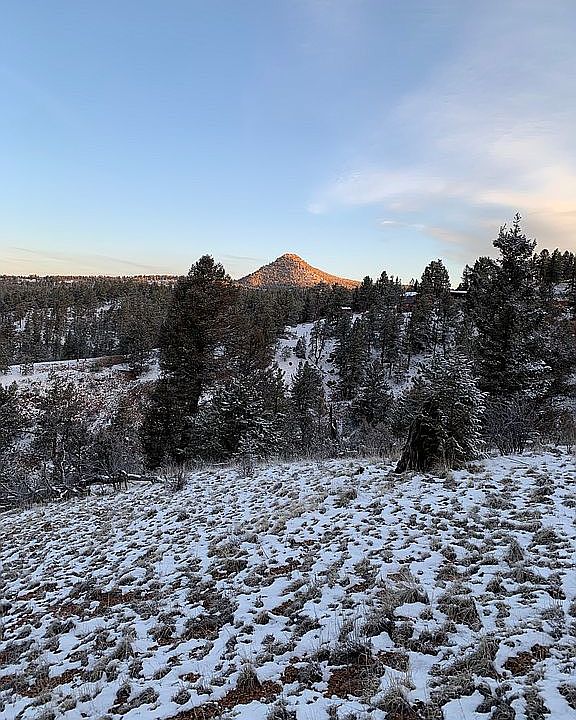 1st image of 310 Arapahoe Creek Trl
