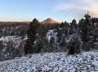 310 Arapahoe Creek Trl, Florissant, CO 80816