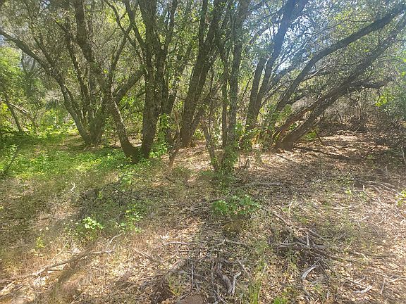 4th image of 1190 Jurgens Rd