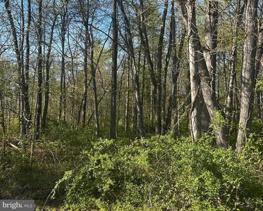 Edgewater Ave, North East, MD, 21901