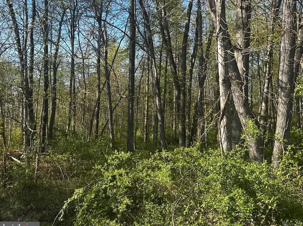 Edgewater Ave, North East, MD 21901