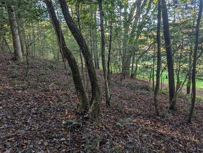 473 Oak Grove Rd, Murphy, NC, 28906