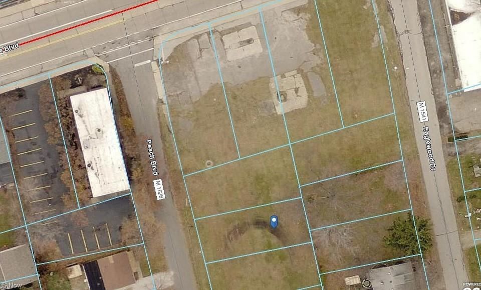 2nd image of Peach Blvd