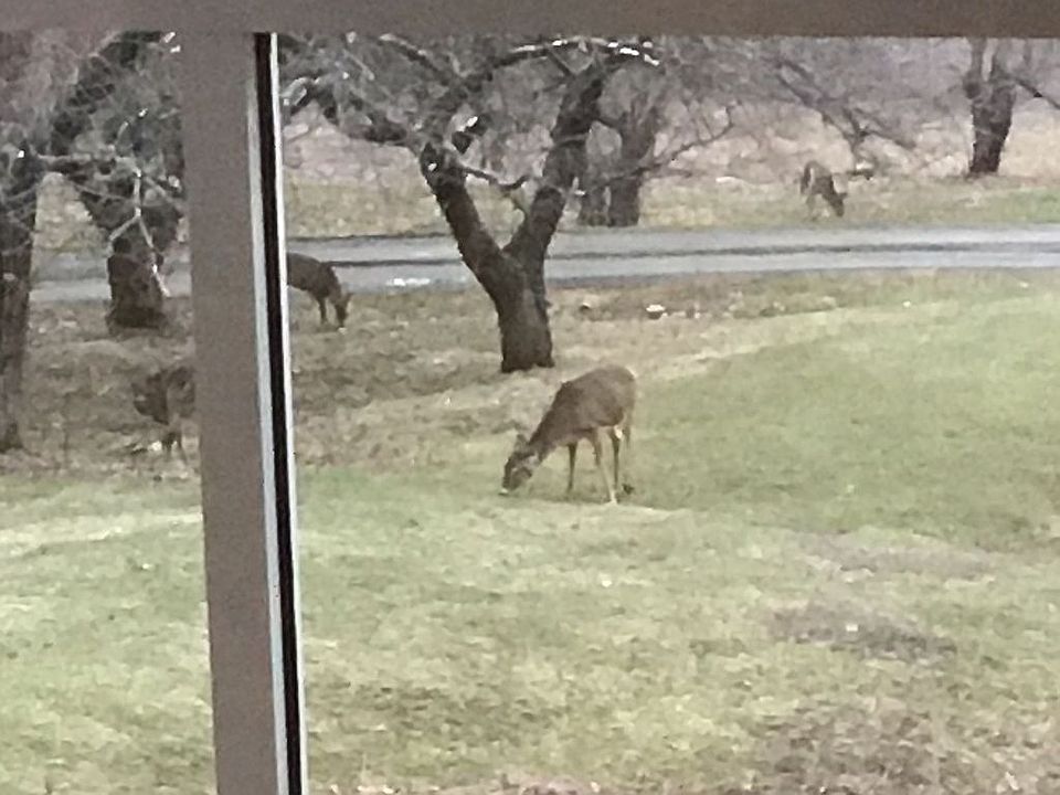 400 Rathbun Rd, Hancock, MA 01237 Zillow