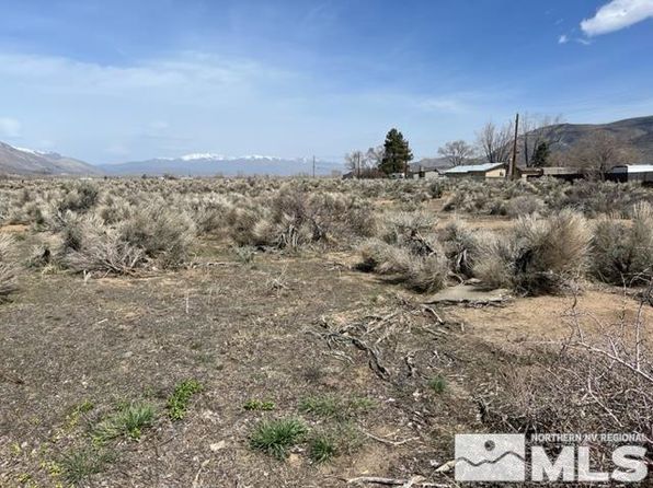 LOT X3 Us Highway 395, Coleville, CA 96107