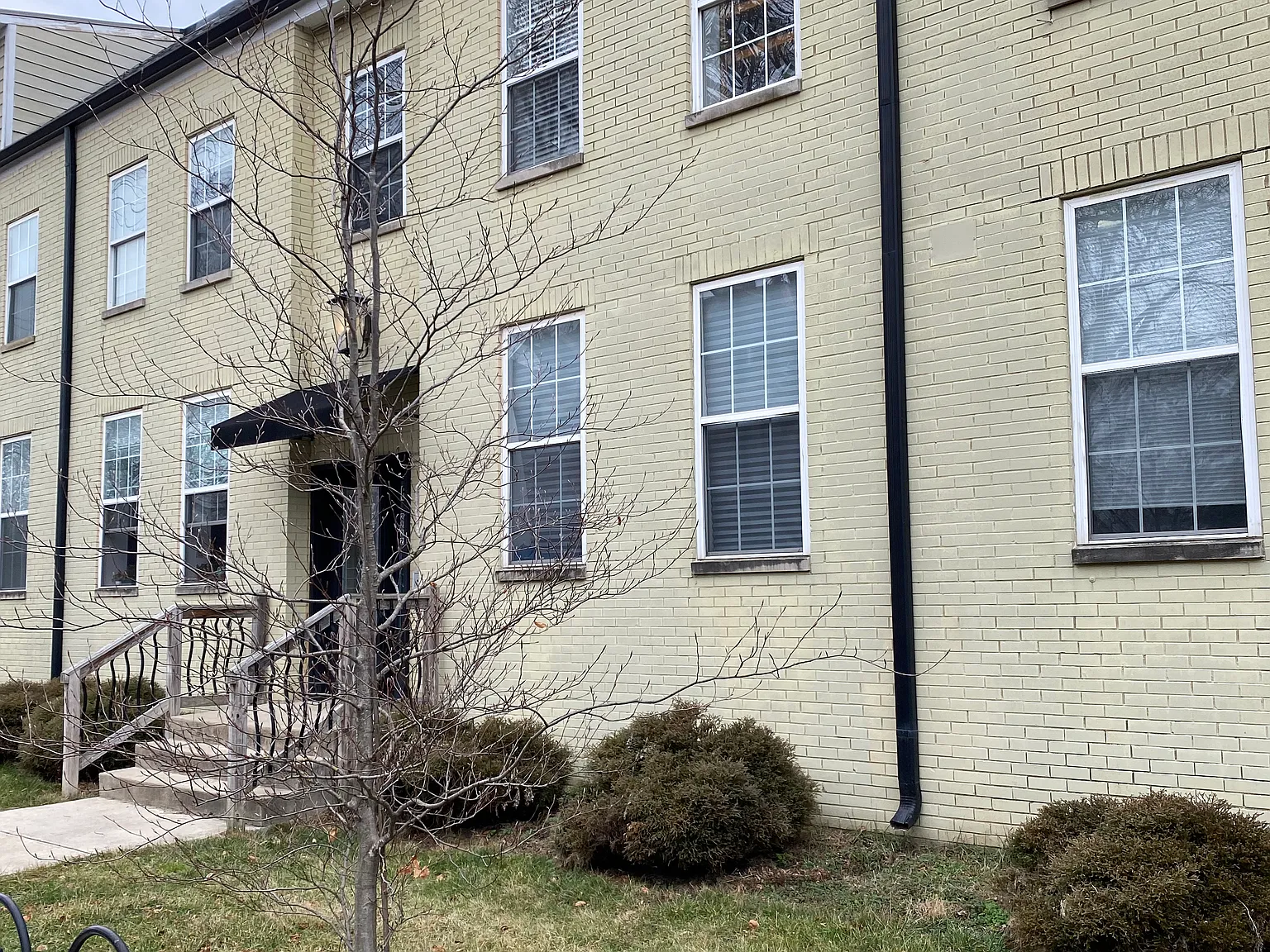 1 bed, 1000 sqft, $1,475 — Photo 1