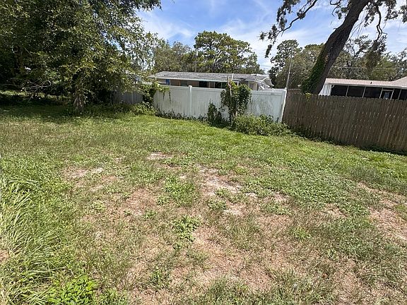Backyard 2_07132025