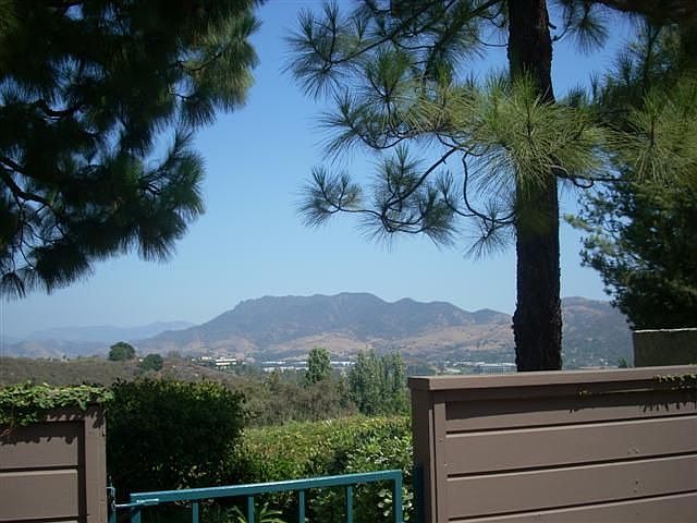 Amazing Views