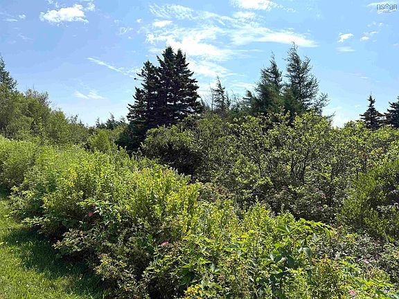 4th image of 33 Elderberry Dr