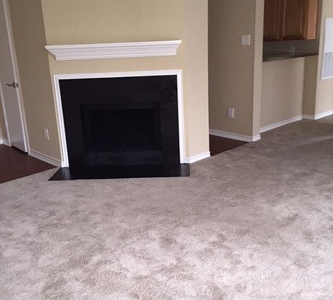 Woodburning Fireplace