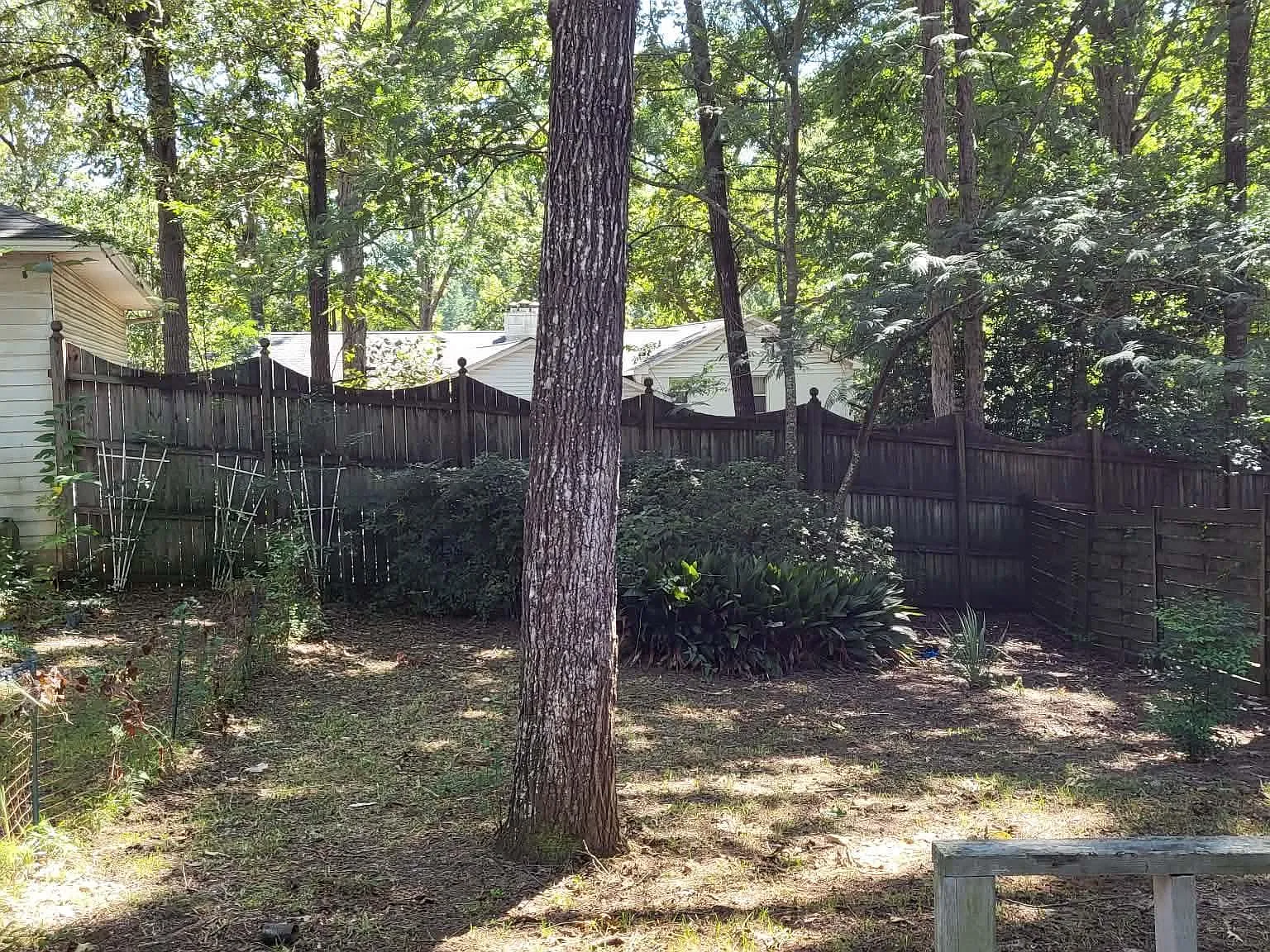2 bed, 2.0 bath, 1052 sqft, $1,250 — Photo 2