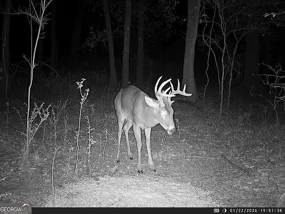 4th image of 0 Charles St