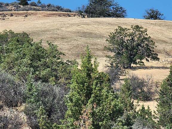 5th image of LOT 17 Camp Creek Rd