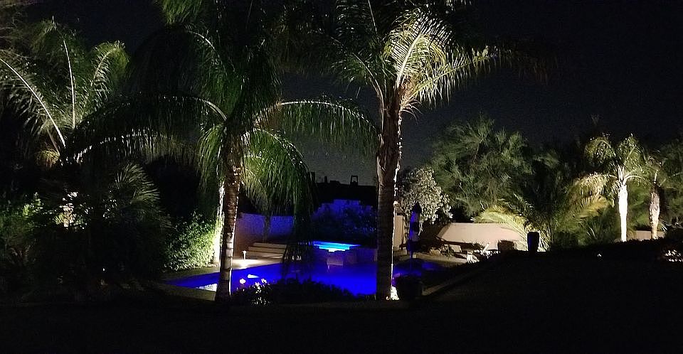 Resort-like back yard