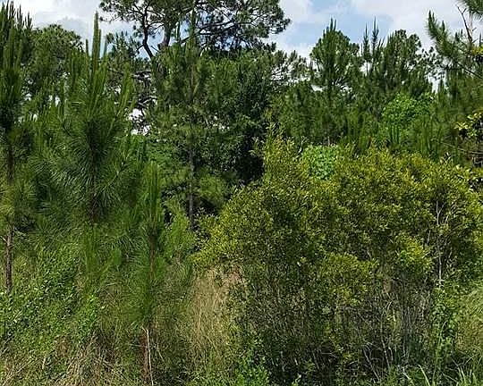 5th image of 8090 Blackwater Dr