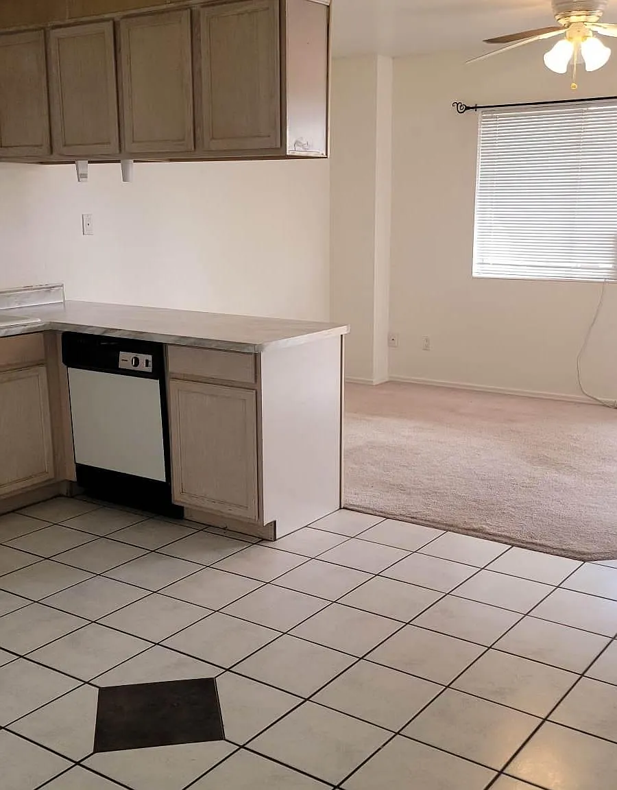 1 bed, 800 sqft, $725 — Photo 3