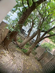 Rented by David Berkowitz, LREB