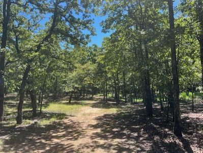 29193 Silverhorn Ln Lot 24, Macomb, OK, 74852