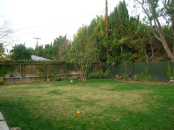 Back Yard