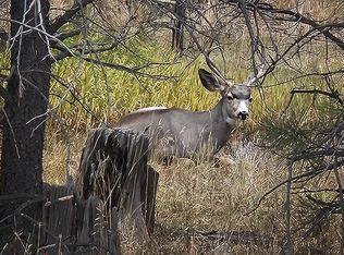 121 Gun Barrel Rd, Pagosa Springs, CO 81147