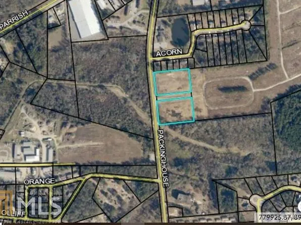 54 Packinghouse Rd, Statesboro, GA 30458