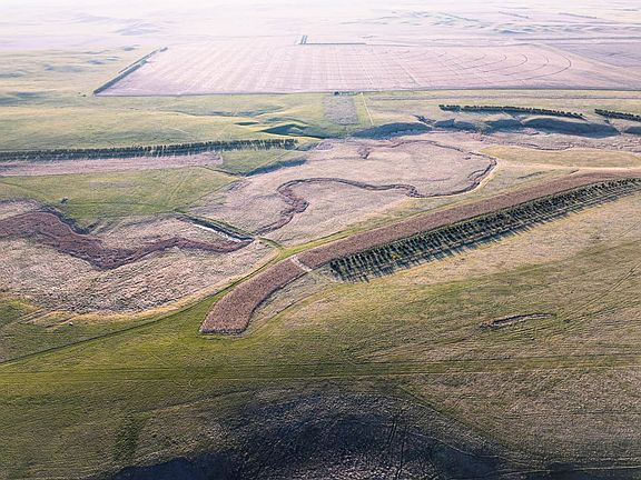 Dji 20260506072713 0012 D Talltines