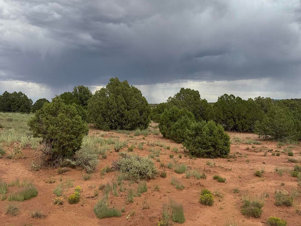 1st image of 4205 Pinon Ln