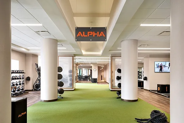 Rented by The Moinian Group | media 16