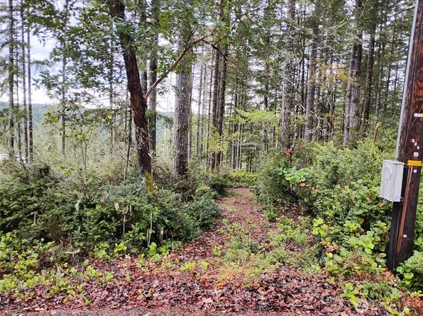 240 NE Cedar Lane, Tahuya, WA 98588