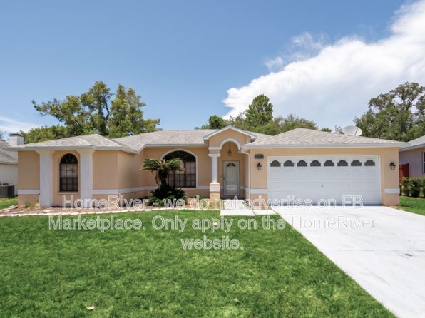 7337 Cone Shell Dr