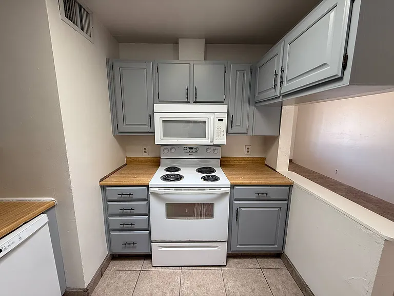 1325 N Venice Ave — Photo 14