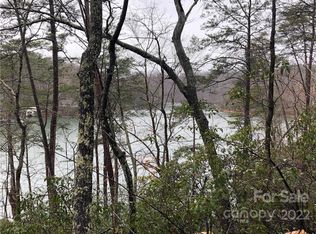 13 Hawk Ridge Dr, Mill Spring, NC 28756