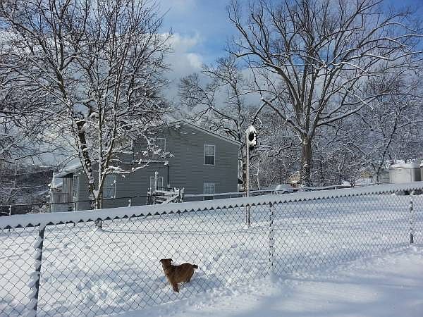 2nd image of 211 Chamberlin St