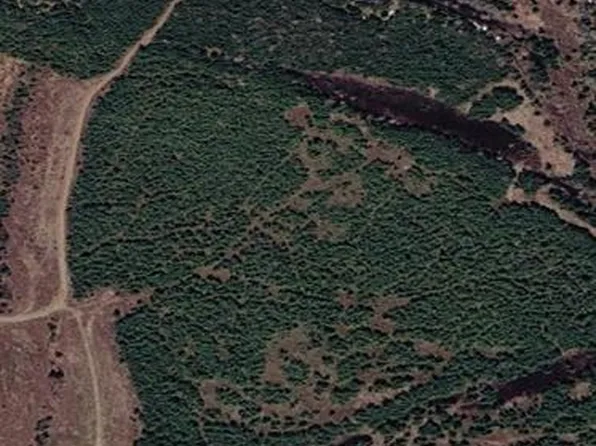 00 Woods Road, Grand Falls Windsor, NL A2A2M4